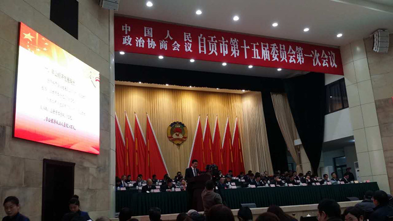 但政协大会发言.jpg