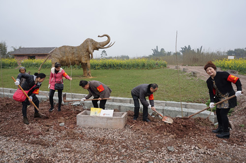 1490259935137546.jpg DSC00432_看图王.jpg