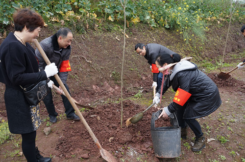 1490260171129874.jpg DSC00481_看图王.jpg