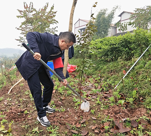 1520996099127115.jpg 植树刘_副本.jpg
