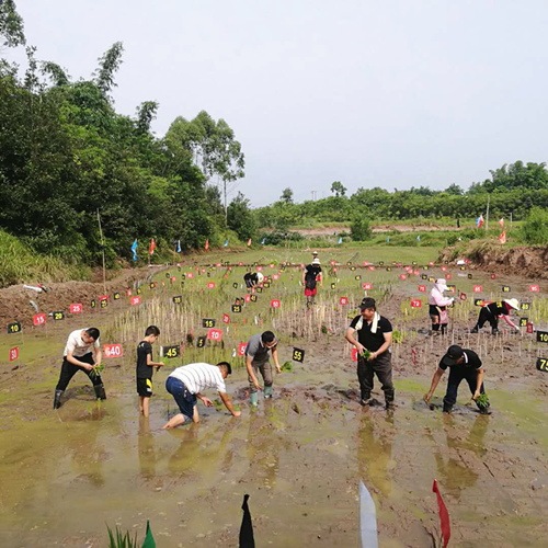 富顺圣果园_副本.png