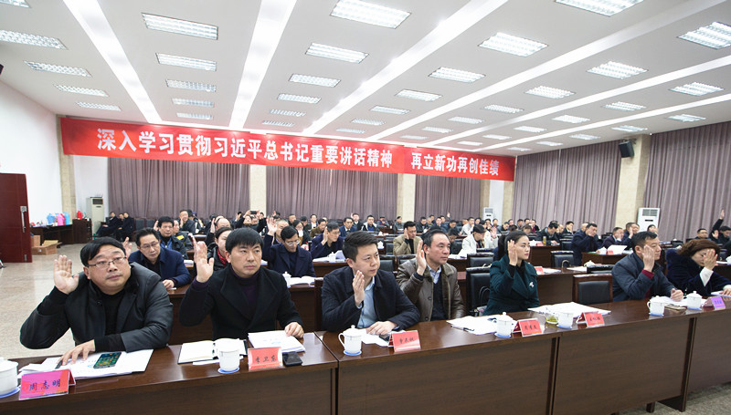 1548753502119137.jpg 执常委举手_副本.jpg