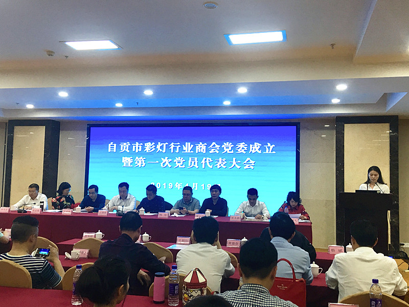 彩灯党委_副本.jpg