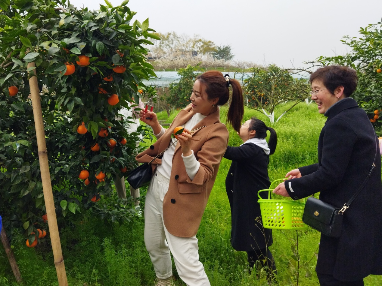 自流井区工商联（商会）开展商会女企业家“三八节”活动2.png