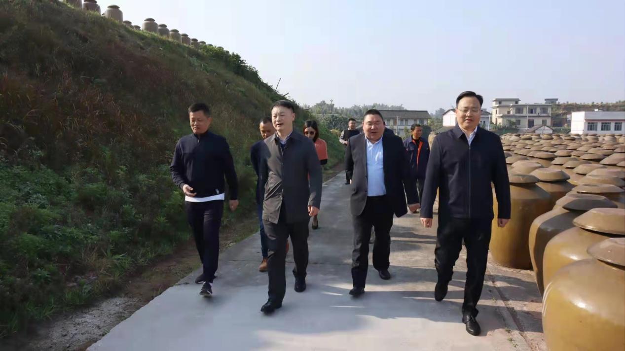 辜林赴富顺调研.jpg